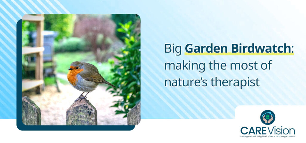 Big Garden Birdwatch making the most of nature’s therapist